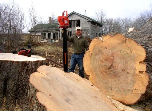 Nolan Wallenfang Custom Woodwork, posing with a big maple tree in Wisconsin